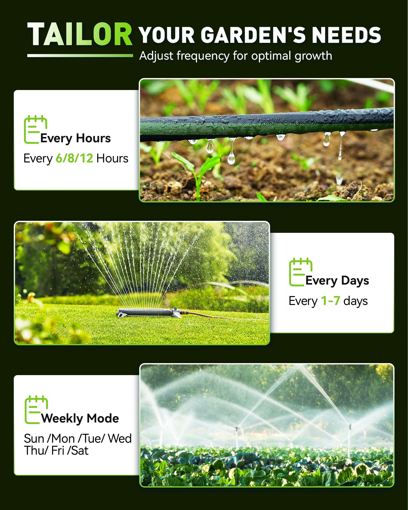RAINPOINT Timer per irrigazione, acqua programmabile per tubo rubinetto da giardino, timer per irrigazione manuale digitale per esterni, per prati da giardino