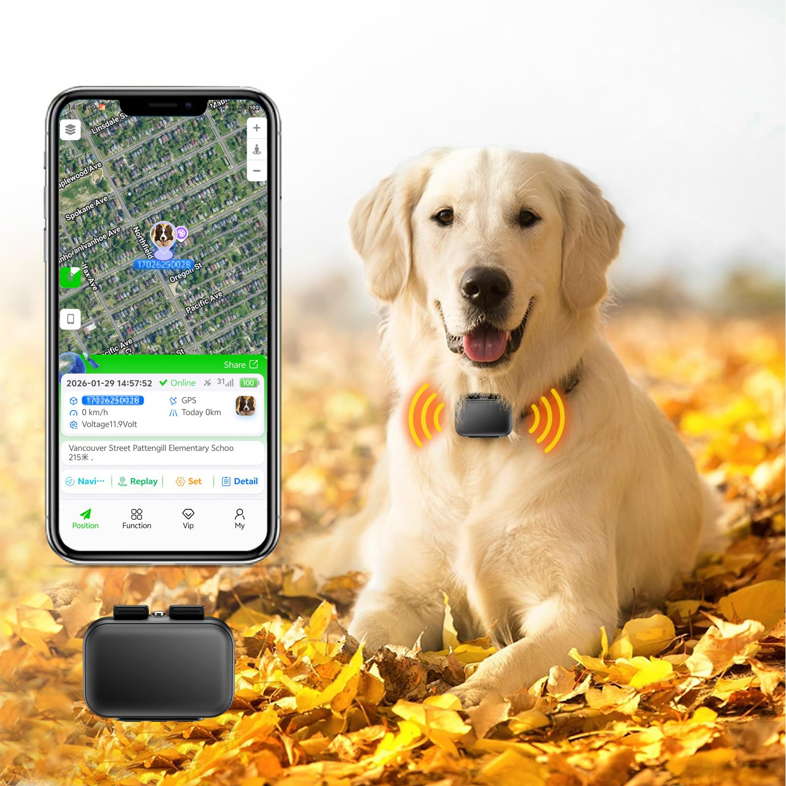 Traction Smart Dog GPS Tracker | Real-Time Pet Tracking with Virtual Fence | Waterproof | Global Positioning | Dog Collar