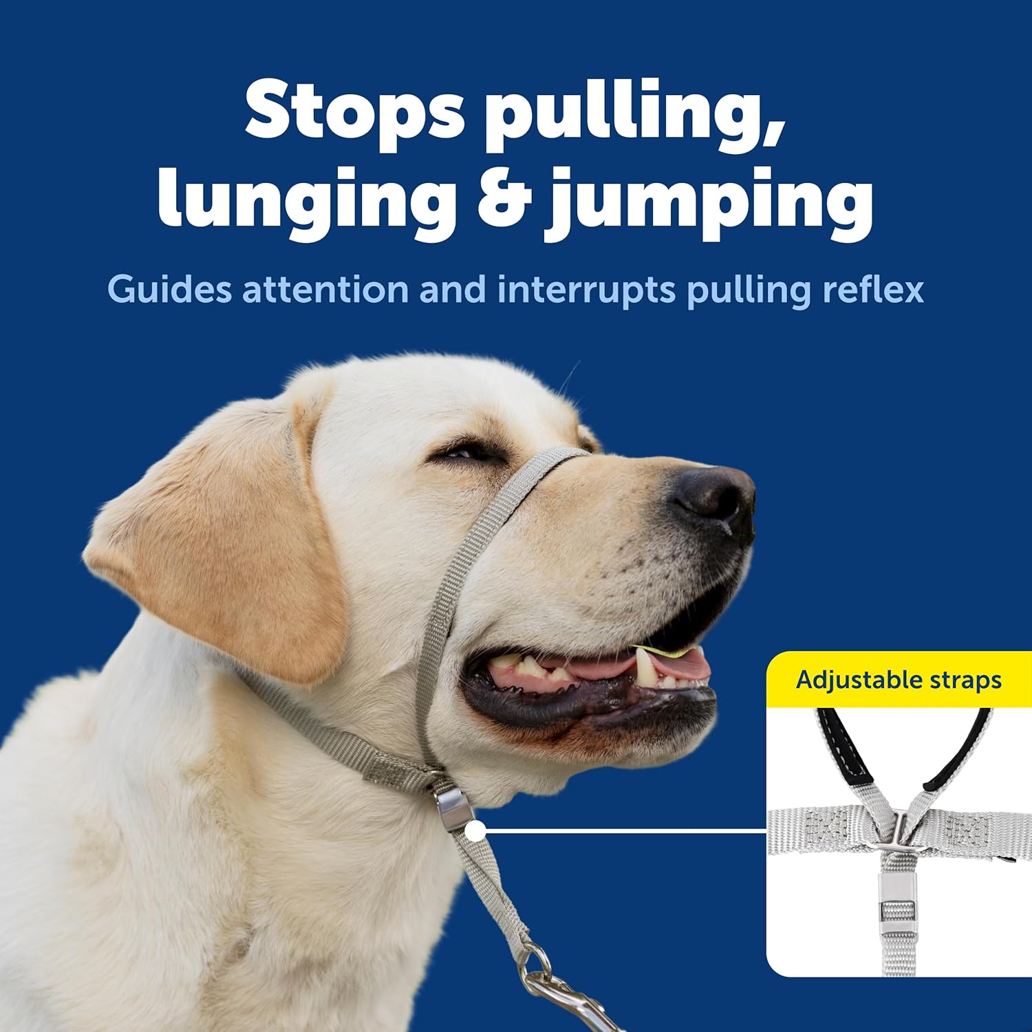 Transform Walks with the PetSafe Gentle Leader: The Ultimate No-Pull Solution for Your Dog!