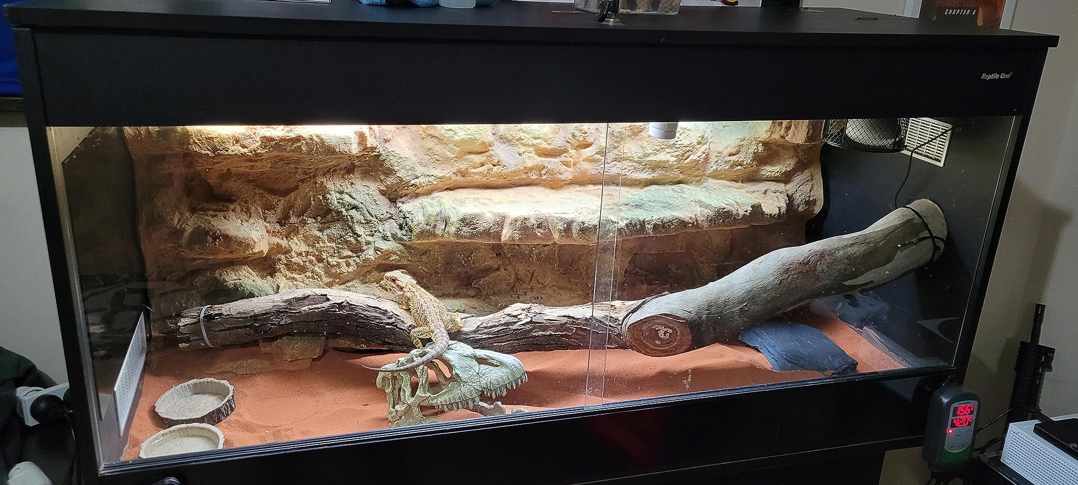 LERWAY 21W Seedling Heat Mat Waterproof Heating Pad 52x25cm for