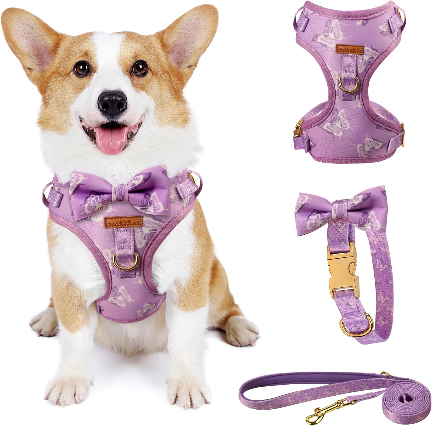 Cute Dog Collar, Harnesses & Leash Set with gold colored