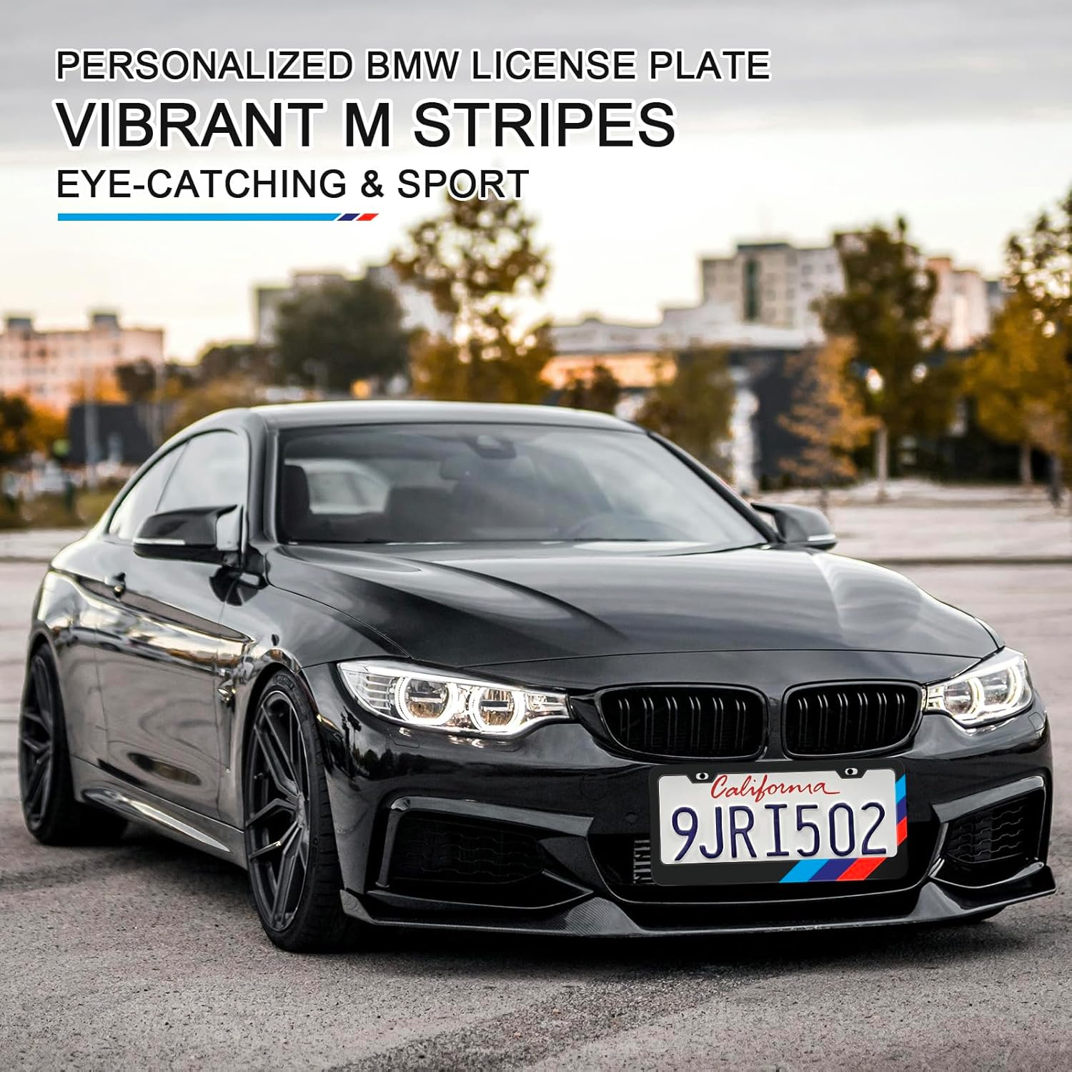 License Plate Frames for BMW Accessories Universal Solid Rust-Proof Aluminum Matte Black License Plate Cover for Front and Rear Car Tags (2 Pcs)