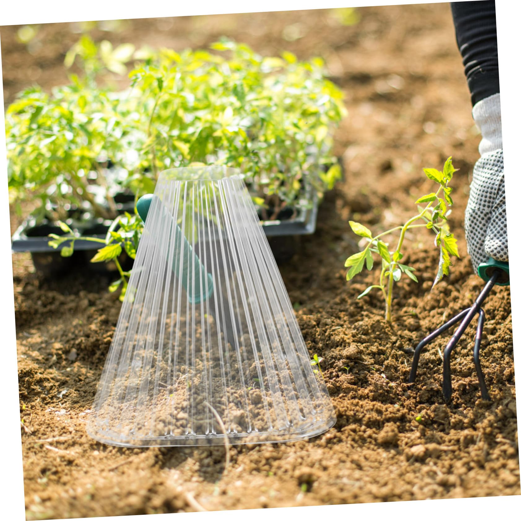 Cloches Coniques pour Protection des Semis en Pet Lot de 10 Protège Légumes et Fleurs Facile à Installer, pour Jardinage Intérieur et Extérieur