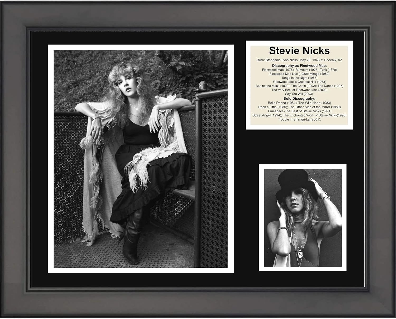 Framed Stevie Steve Nicks Discography 11"x14" Music Three Photo Collage