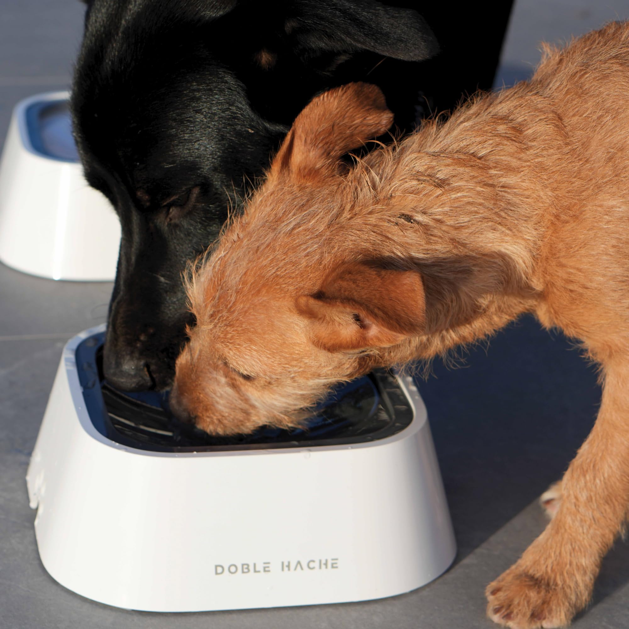Bebedero Perro Antigoteo 1,5 litros, Portátil – Bebedero Antisalpicaduras y Antideslizante, Cuenco Flotante Alimentación Lenta para Perros/Gatos, a Prueba de Fugas, Hogar Limpio (Oscuro)