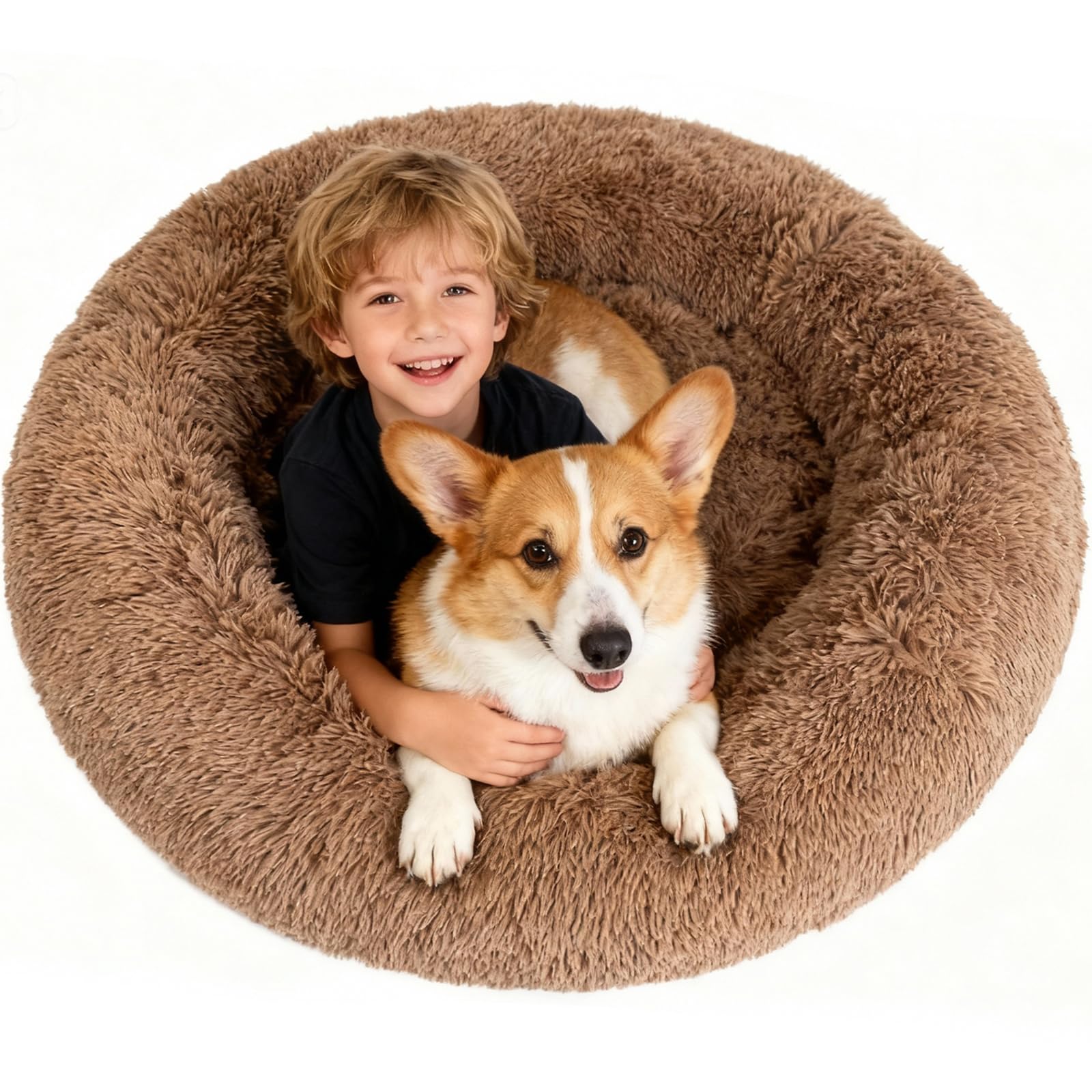 hush bone Memory Foam Dog Bed