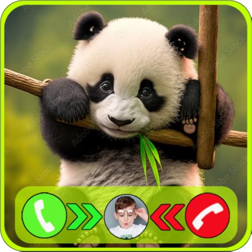 Incoming Video Call From Panda Fake Video Voice Call & Texting Simulator | Game For Kids (NO ADS)