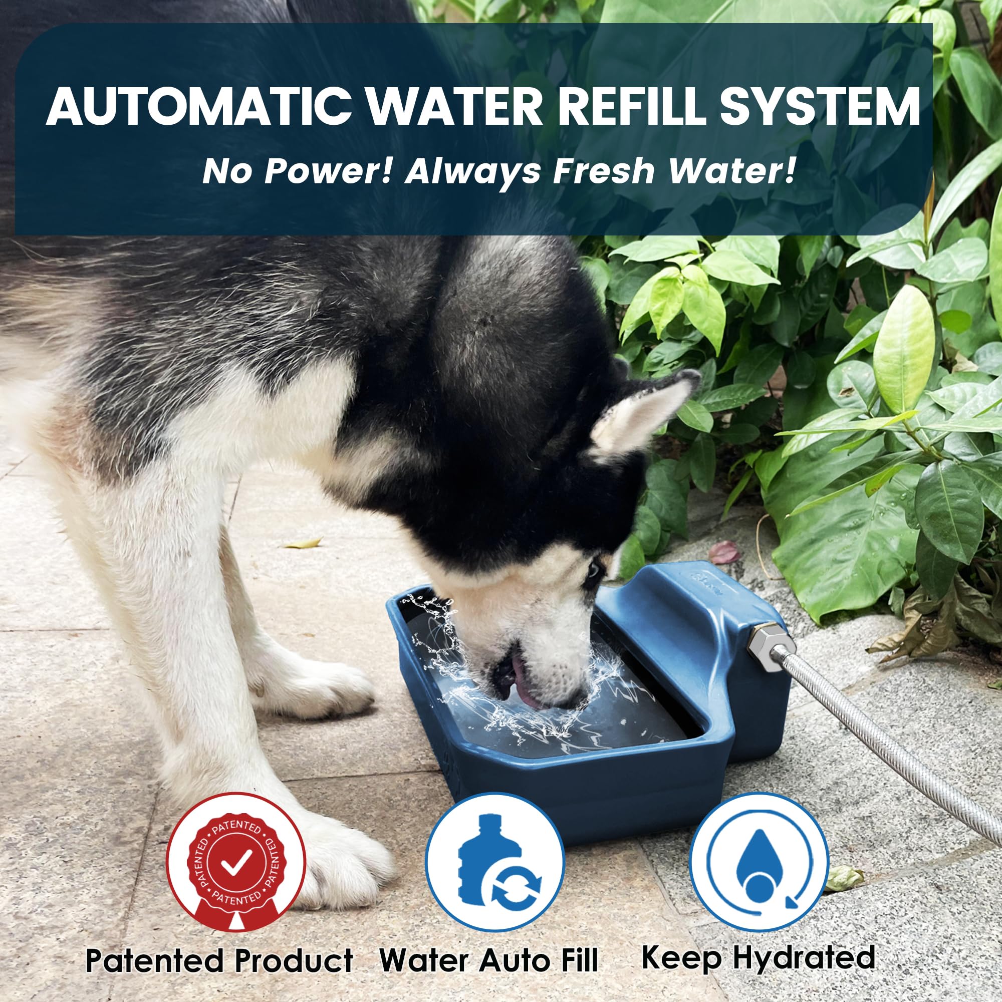 PETIMI Dispensador automático de agua para perros/gatos, dispensador de cuenco de agua de llenado automático de 1 galón para interiores y exteriores, comedero de agua grande para mascotas/ganado, sin