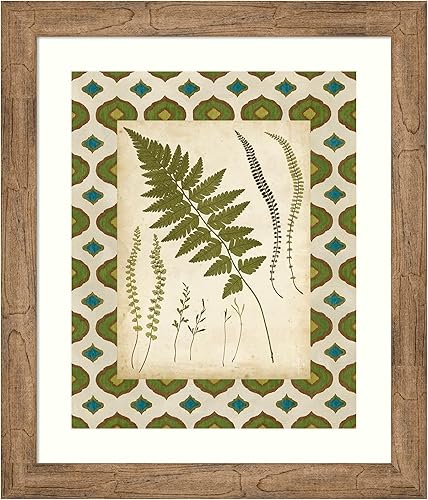 Amanti Art Framed Wall Art Print 28x24 Moroccan Ferns II by Vision Studio, Flowers Wall Art, Vintage Decor, Medium Poster Painting Artwork for