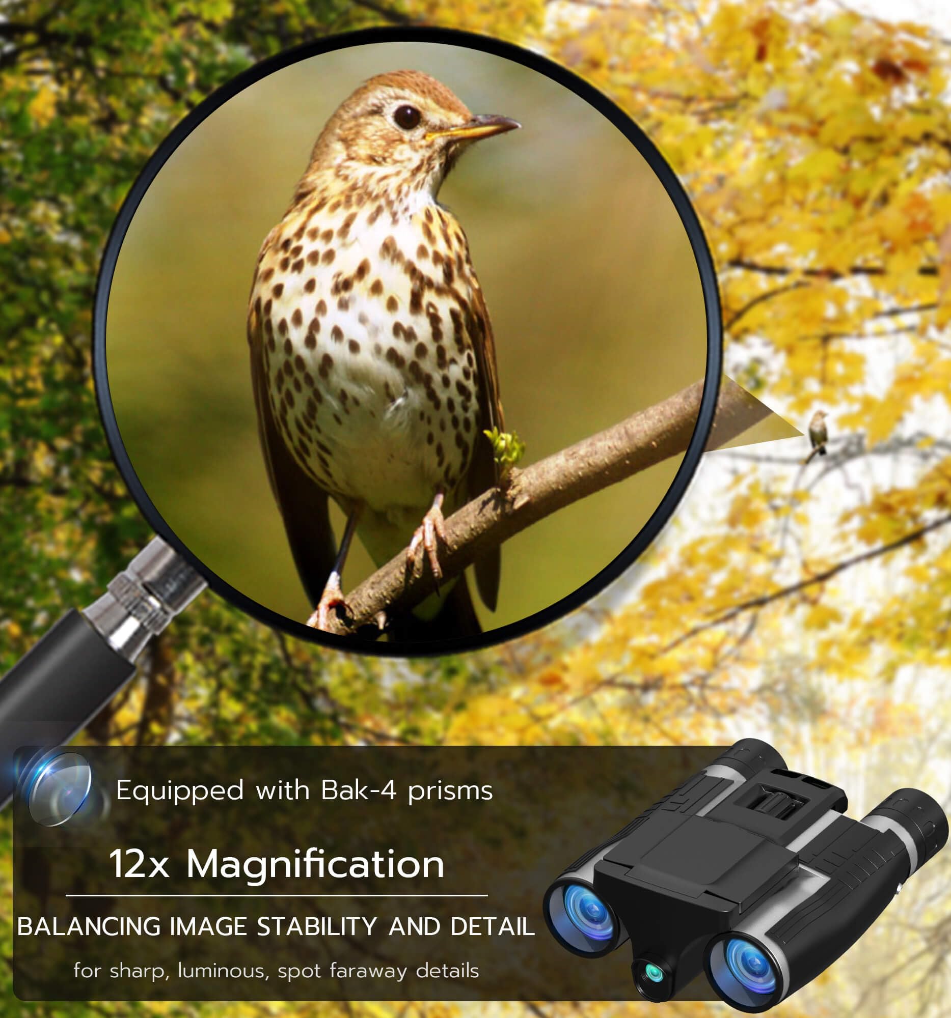 Anweller Binocolo con fotocamera, 12 x 32, ad alta potenza, per adulti e bambini, per bird watching, nave da crociera, caccia, viaggi, escursioni, giochi sportivi, concerti, con scheda da 32 GB