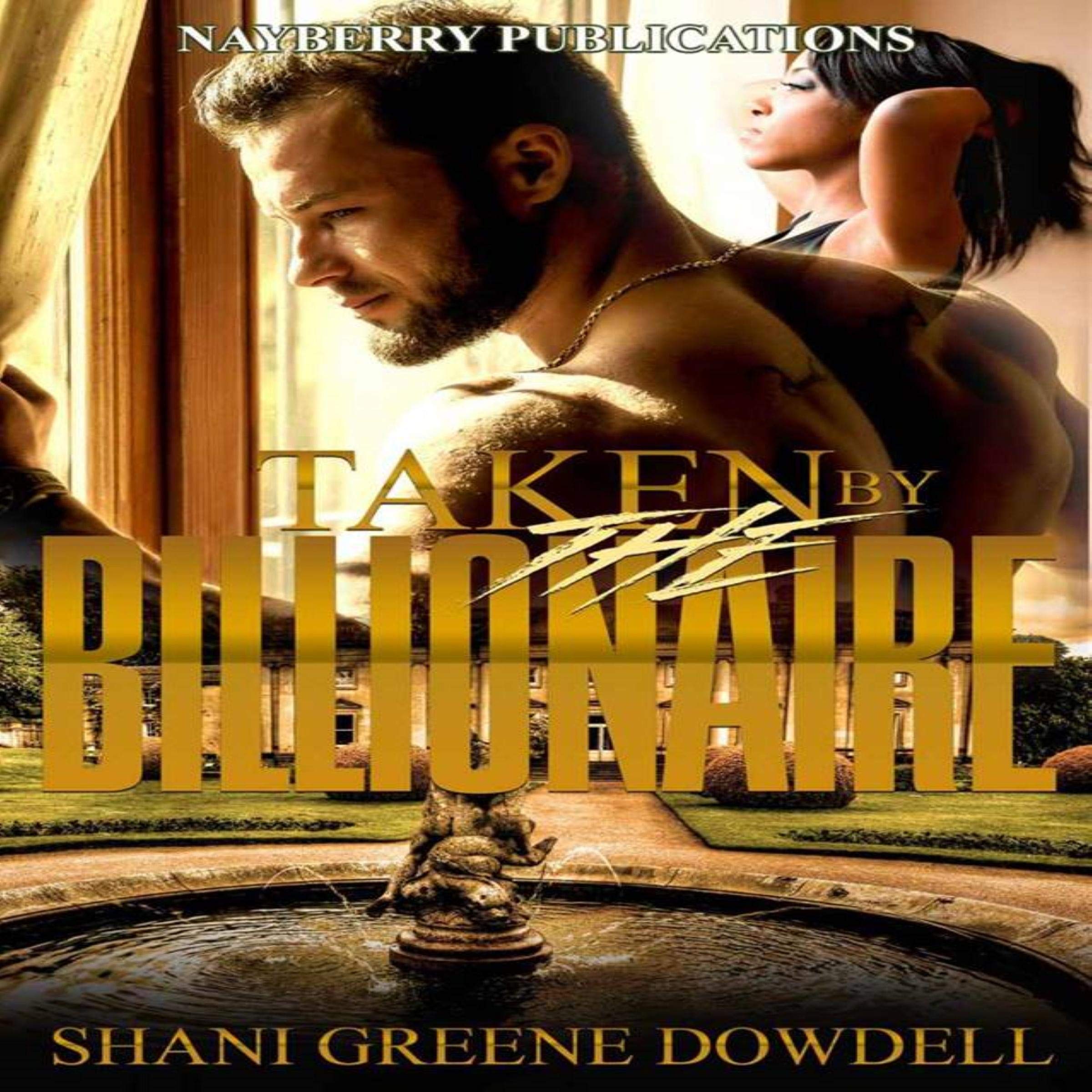 Cover art for Taken by the Billionaire