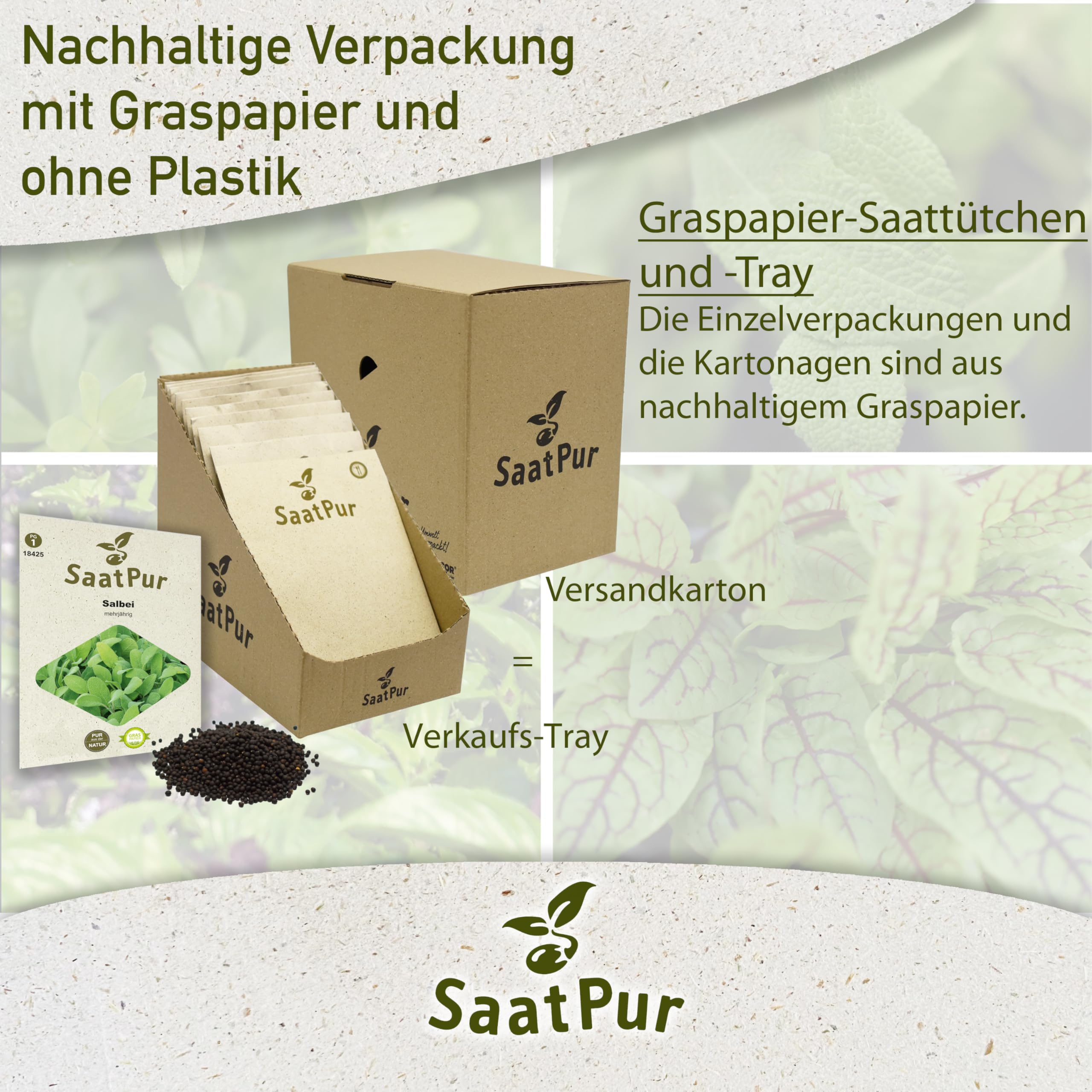 SaatPur Salbei Samen, Saatgut - Kleines Tray mit 25 Portionstüten für je ca. 80 Pflanzen