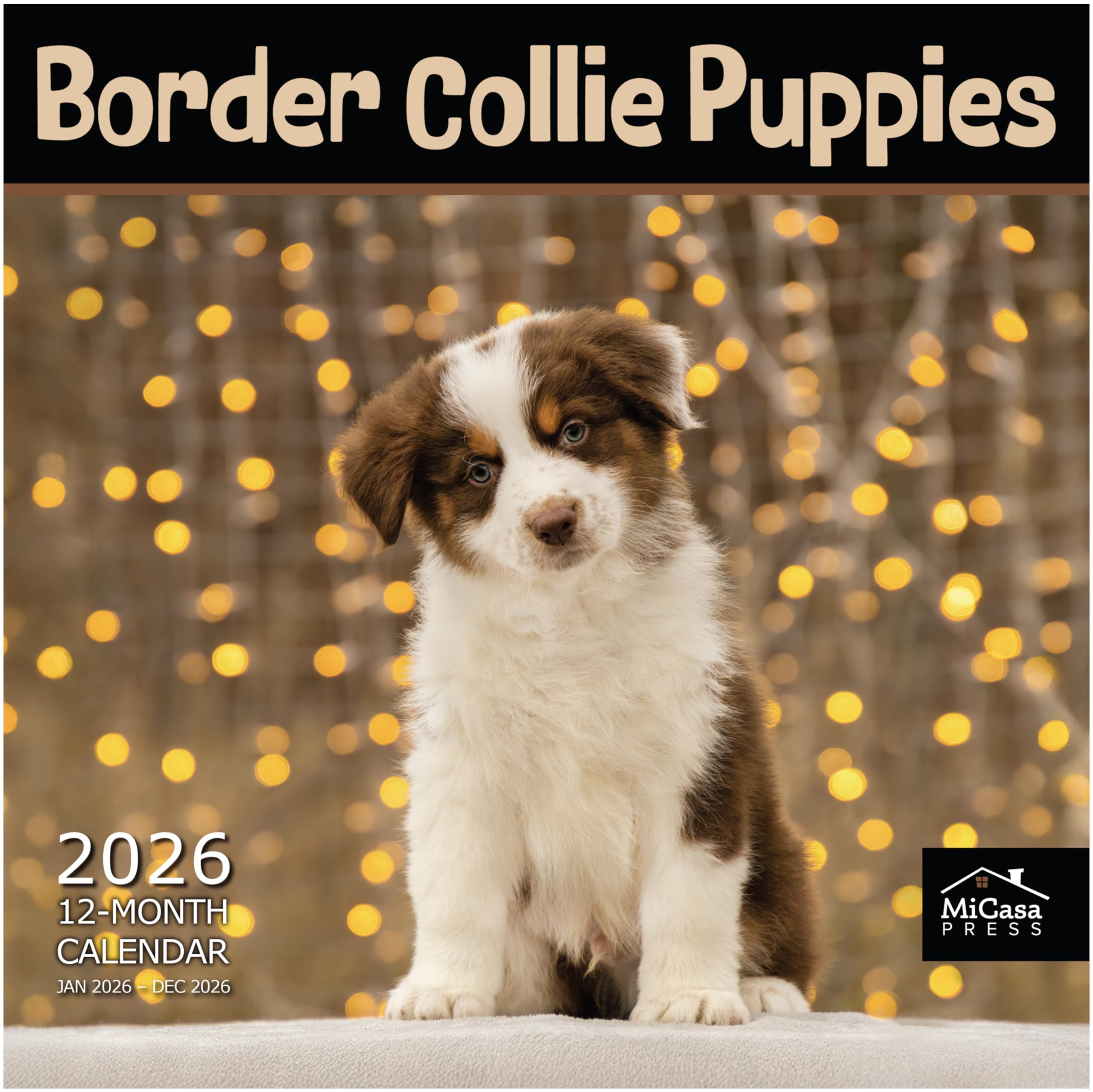 MICASA Border Collie Puppies 2026 Wall Calendar 12 Month | 12" x 24" Open | Thick & Sturdy Paper | Giftable | Calendar 2026