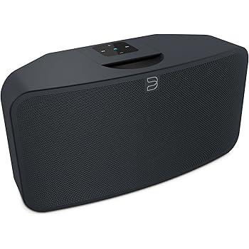bluesound outdoor speaker
