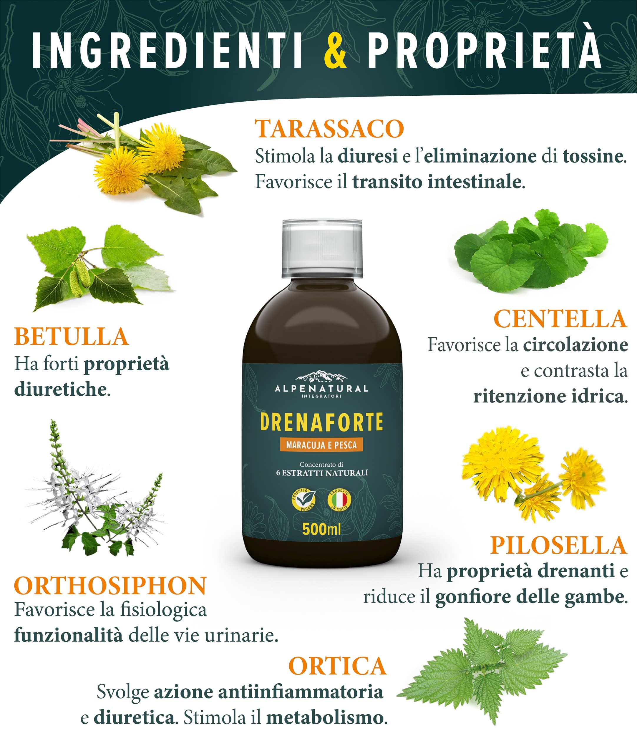 Drenaforte | Drenante forte, Concentrato di 6 Estratti Naturali, Drenante, Diuretico, Detox, Depurativo Naturale, Ritenzione Idrica | Maracuja e Pesca, Vegano, 500 ml