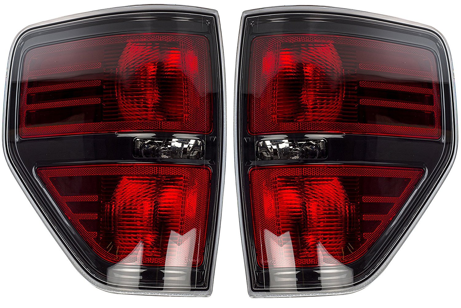 Amazon.com: Ford Genuine AL3Z-13404-AE Tail Lamp : Automotive