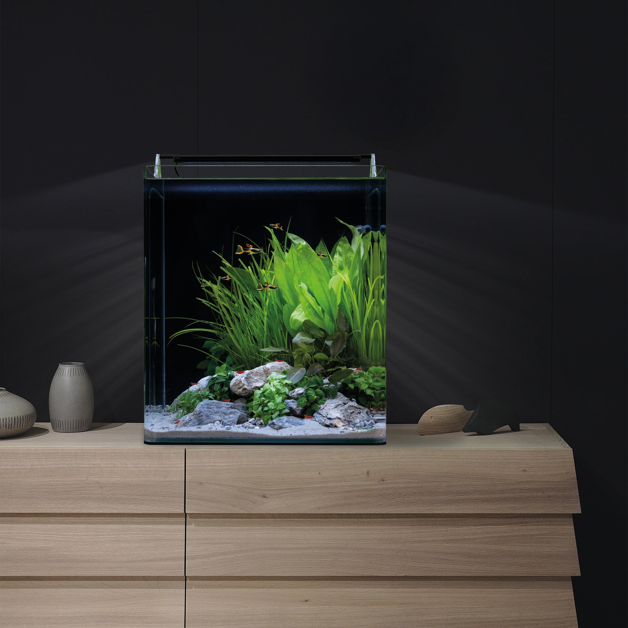 Dennerle Nano Cube Complete, 60 litri, 38 x 38 x 43 cm, mini acquario con angoli arrotondati