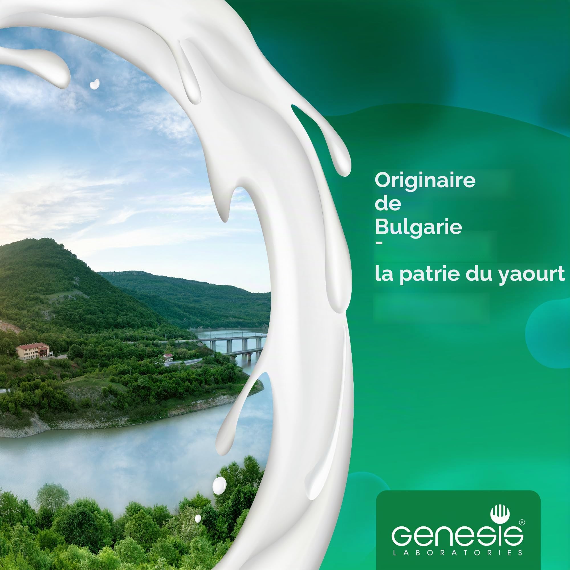 Culture de départ végétalienne pour le yaourt maison végétalien 10 sachets pour 10l de produit