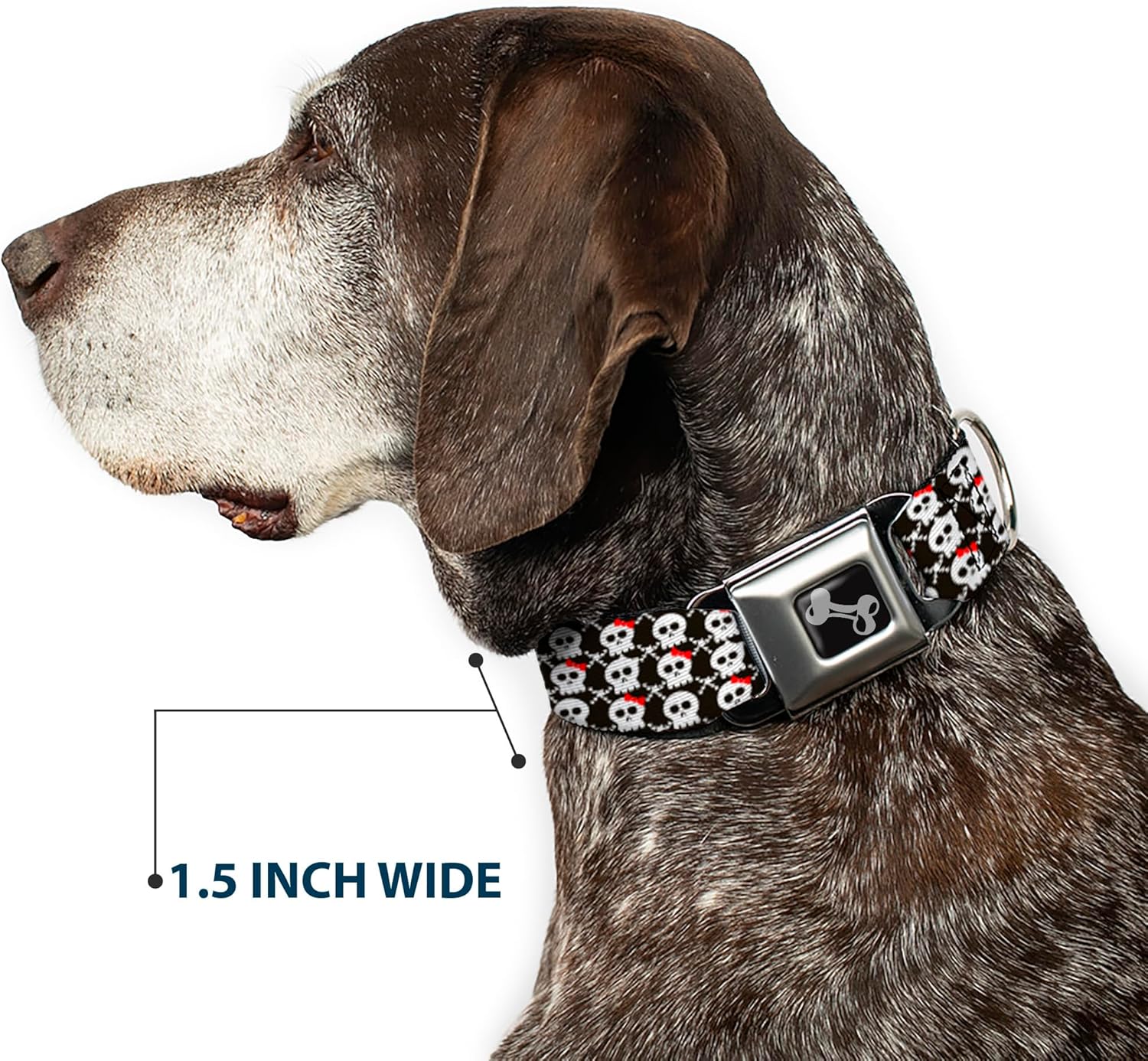 Buckle-Down Seatbelt Buckle Dog Collar - Skull w/Bow Black/White/Red - 1" Wide - Fits 9-15" Neck - Small