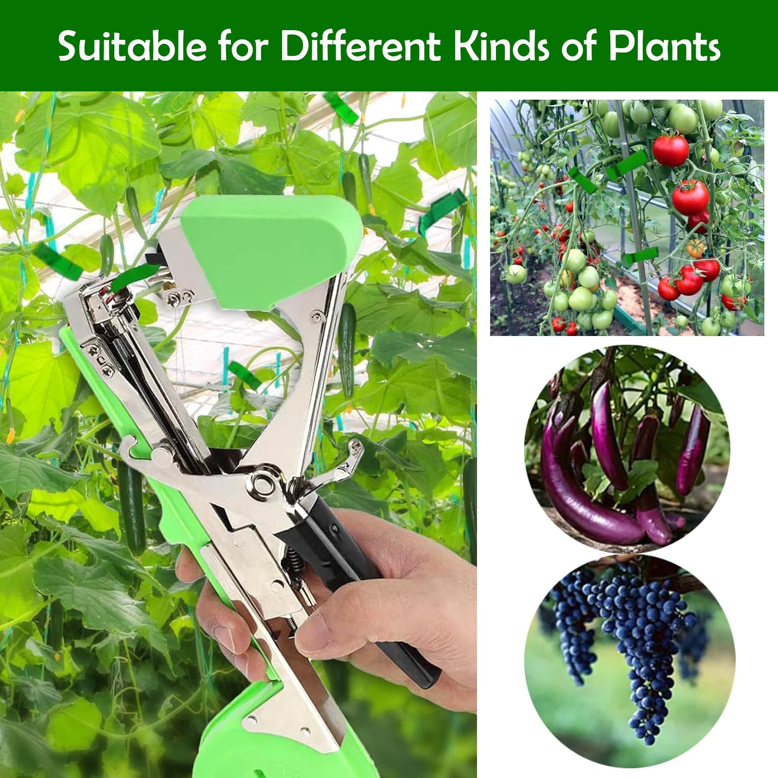 Cinta para encuadernación de plantas, herramienta con 20 rollos de cinta adhesiva, 1 caja de grapas, cintas para atar plantas, embalaje de jardín, poda de verduras y máquina de encadenamiento