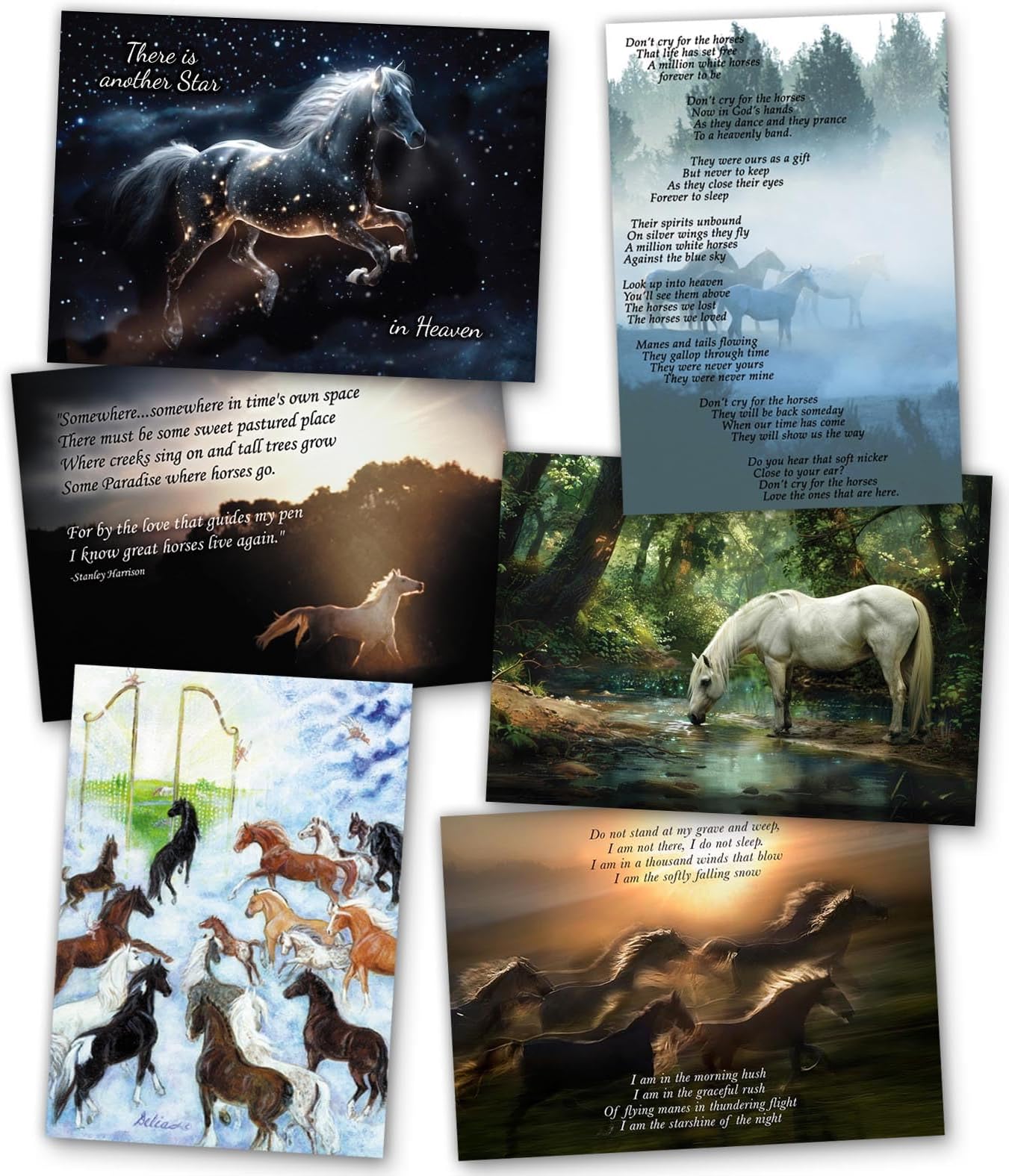 HoofPrints 12 Assorted Equine Horse Sympathy Cards Veterinarian Farrier Rescue