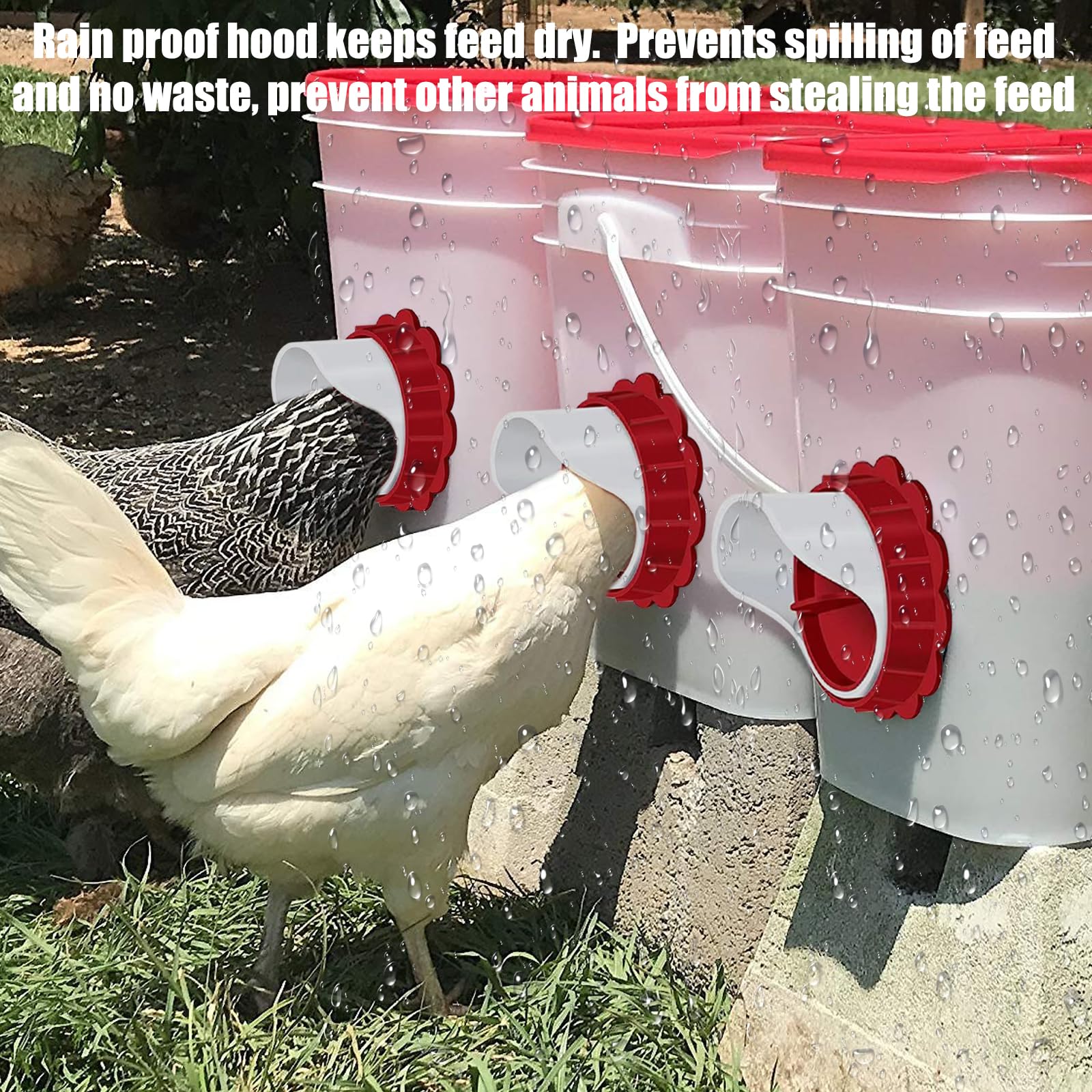 100 Pièces Bague Poule, Bague Pigeon, Bague Pour Poule