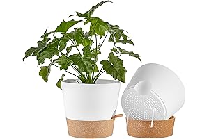 10 Inch Planter Pots for Indoor Outdoor Plants