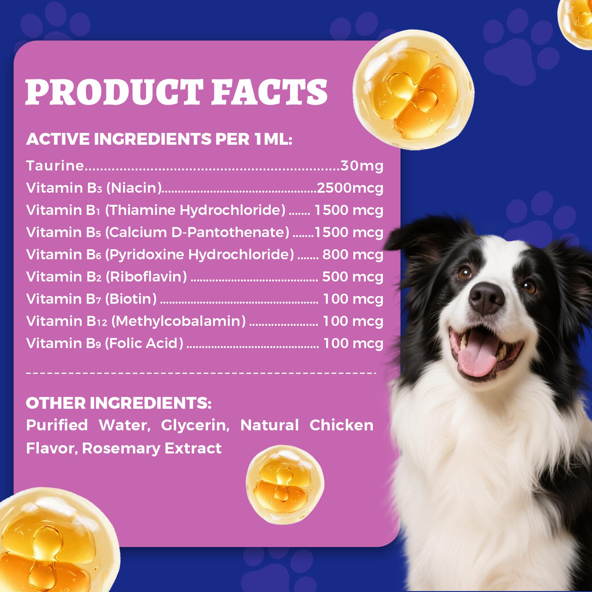 Wellix 4.06 fl oz Vitamin B Complex Drops with Taurine for Dogs and Cats — Amazon image 7