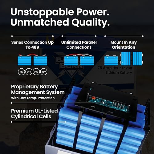 Miniatura 9 de Battle Born Batteries Batería de iones de litio (LiFePO4) de ciclo profundo de 12 V de 100 Ah calentada - Reemplazo seguro y potente para RV,