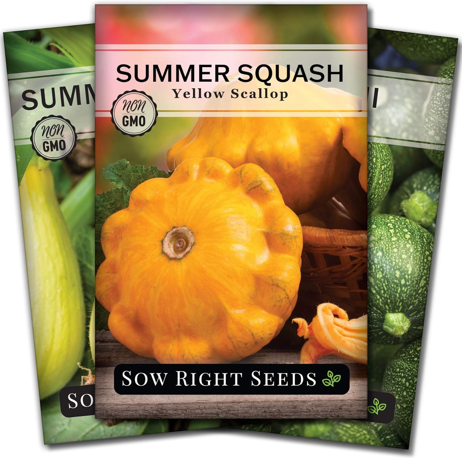 Sow Right Seeds - Summer Squash Seed Collection for Planting - Individual Packets Straightneck, Yellow Scallop and Round Zucchini Squash, Non-GMO Heirloom Seeds to Plant Outdoor Home Vegetable Garden