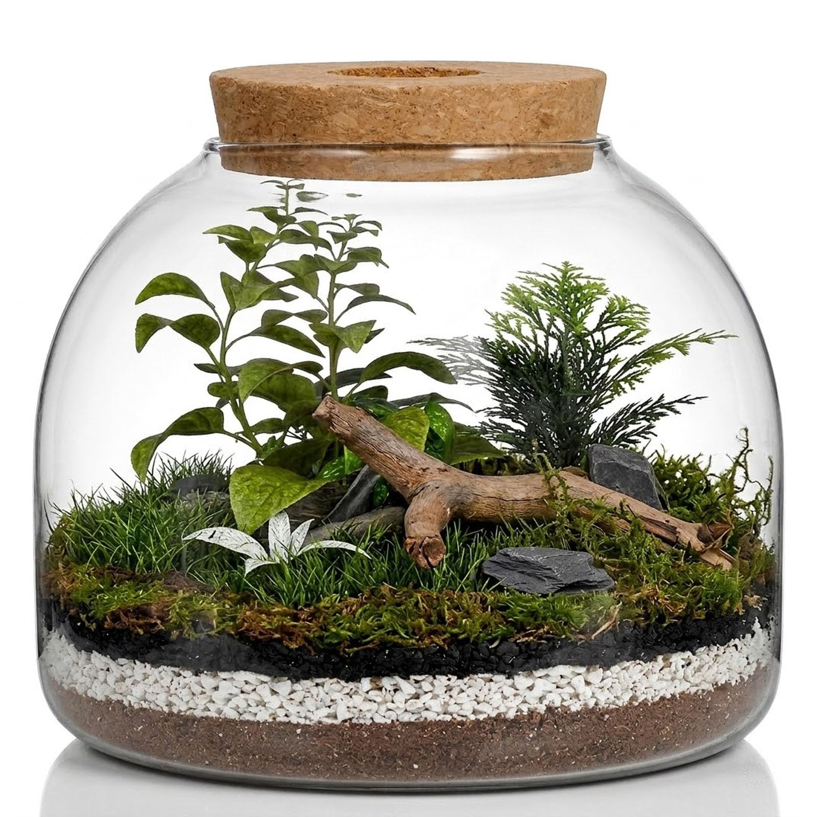iplusmile Pflanzenterrarium aus Glasflasche: Glas mit korkdeckel DIY Micro-Landschaftsflasche Für Fischschale Vase flaschengarten Pflanzen Terrarium(Nur Flaschen)