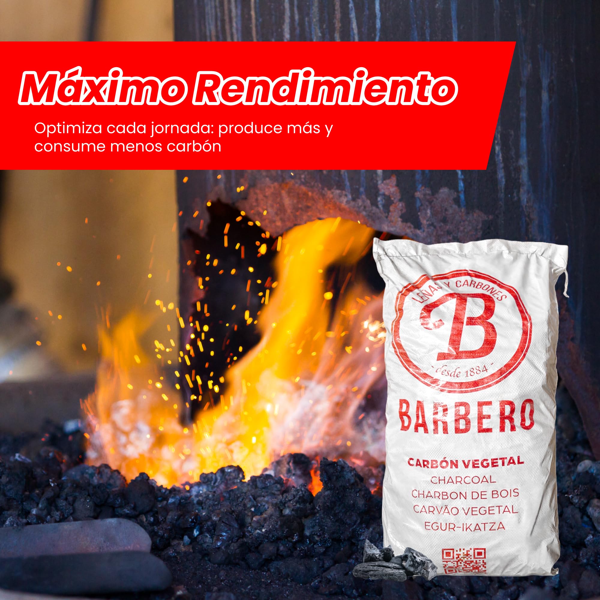 Palet Carbón Vegetal Encina 100 Natural Grueso Profesional 30 Sacos 20kg Hostelería Aroma Sabor Carnes Pescados Combustión Lenta Sin Humo Alta Temperatura Cocina Exterior Parrilla Gourmet