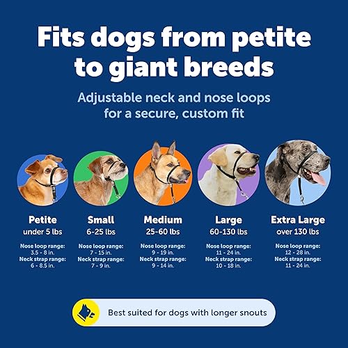 Vista 63 de Collar suave de conducción con DVD de entrenamiento PetSafe, Manzana Verde (Apple Green)