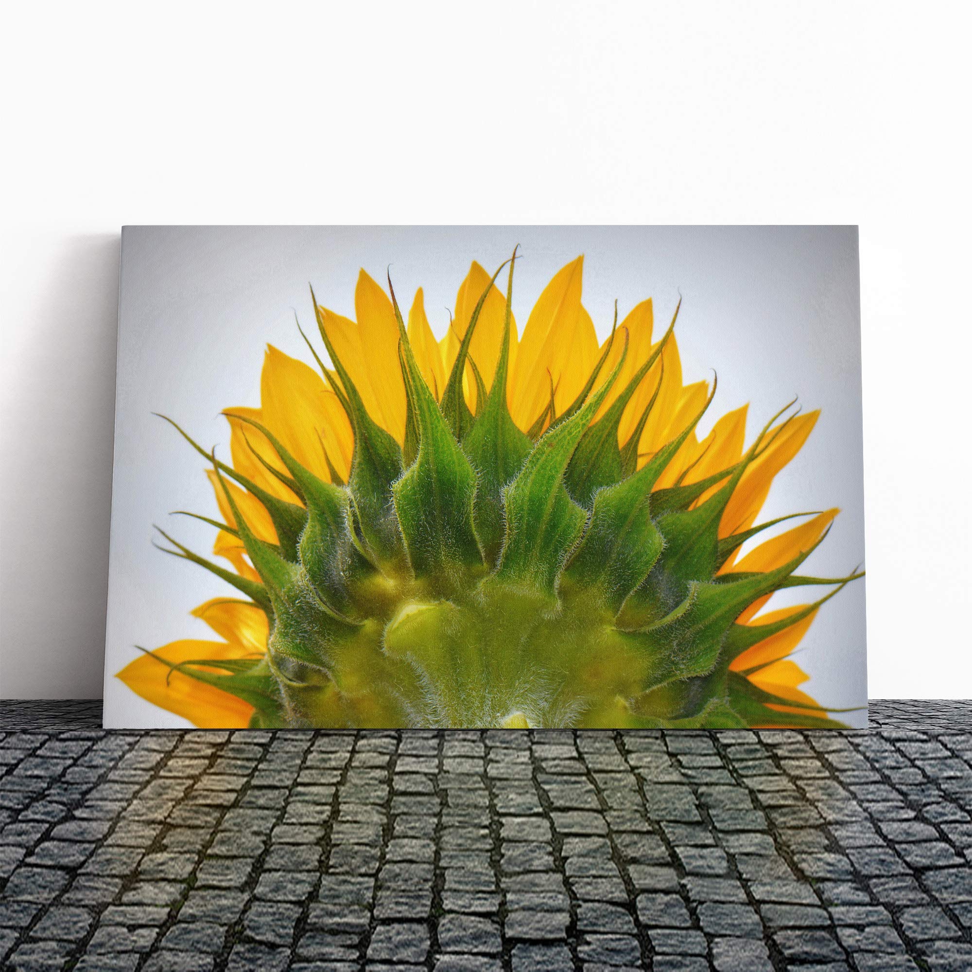 Flower Yellow Sunflowers (9) Canvas Print | Gallery Wrapped 30mm Frame Wall Art | 24x16 inches | Ready to Hang | Modern Floral Picture | Living Room Bedroom Lounge Office