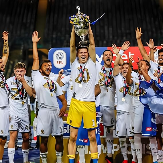 England The Championship Trophies UK FootballLeague Championship Trophy Replica Showcase Souvenir Collectible for Schools Clubs Bars for Soccer Fans