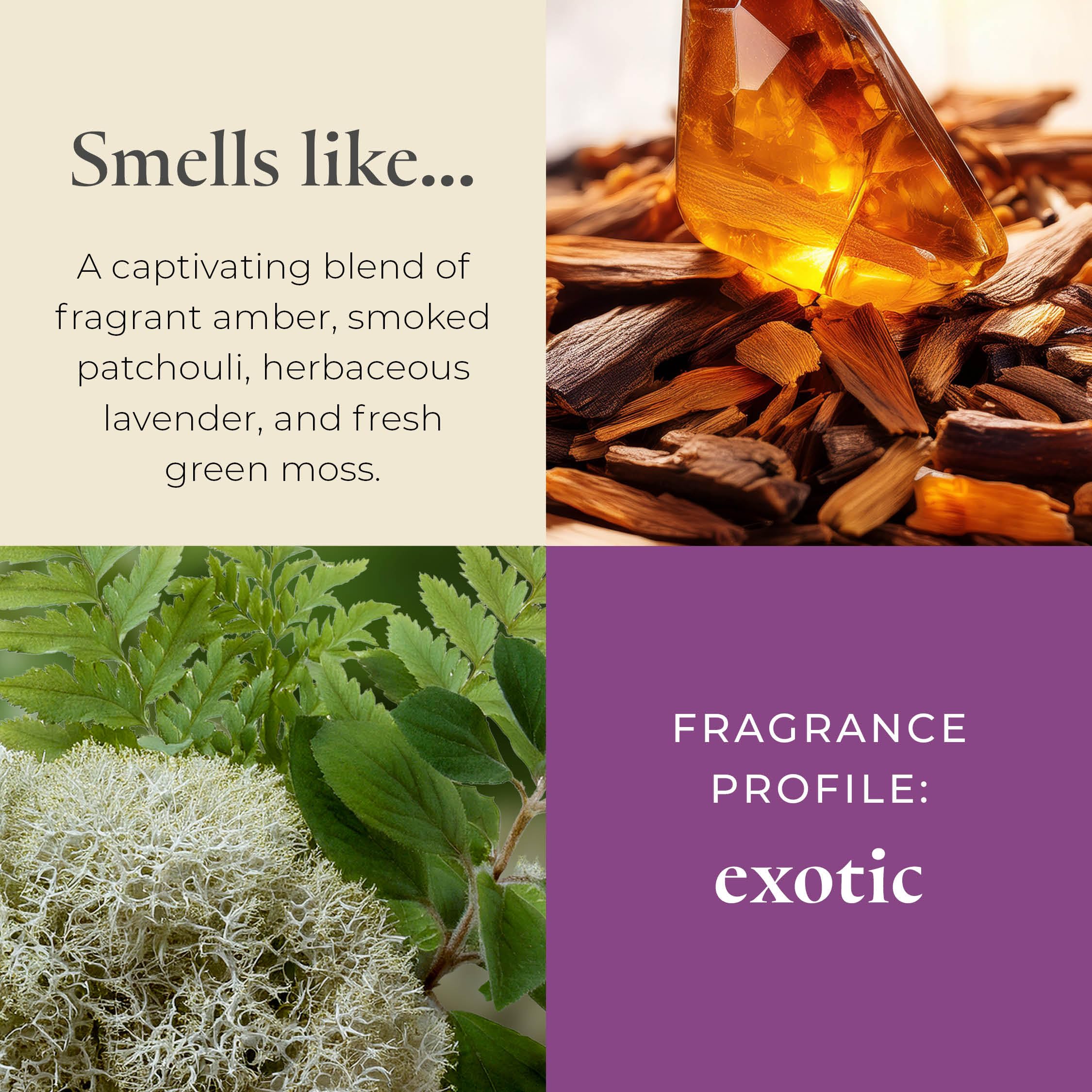 PartyLite Bougie parfumée rechargeable en pot, ambre et patchouli fumé avec parfum de lavande, aromathérapie à mèche unique avec 45 à 50 heures de combustion, idéale pour la décoration de la maison,