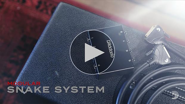 Amazon.com: D'Addario Accessories Modular Snake TRS Breakout