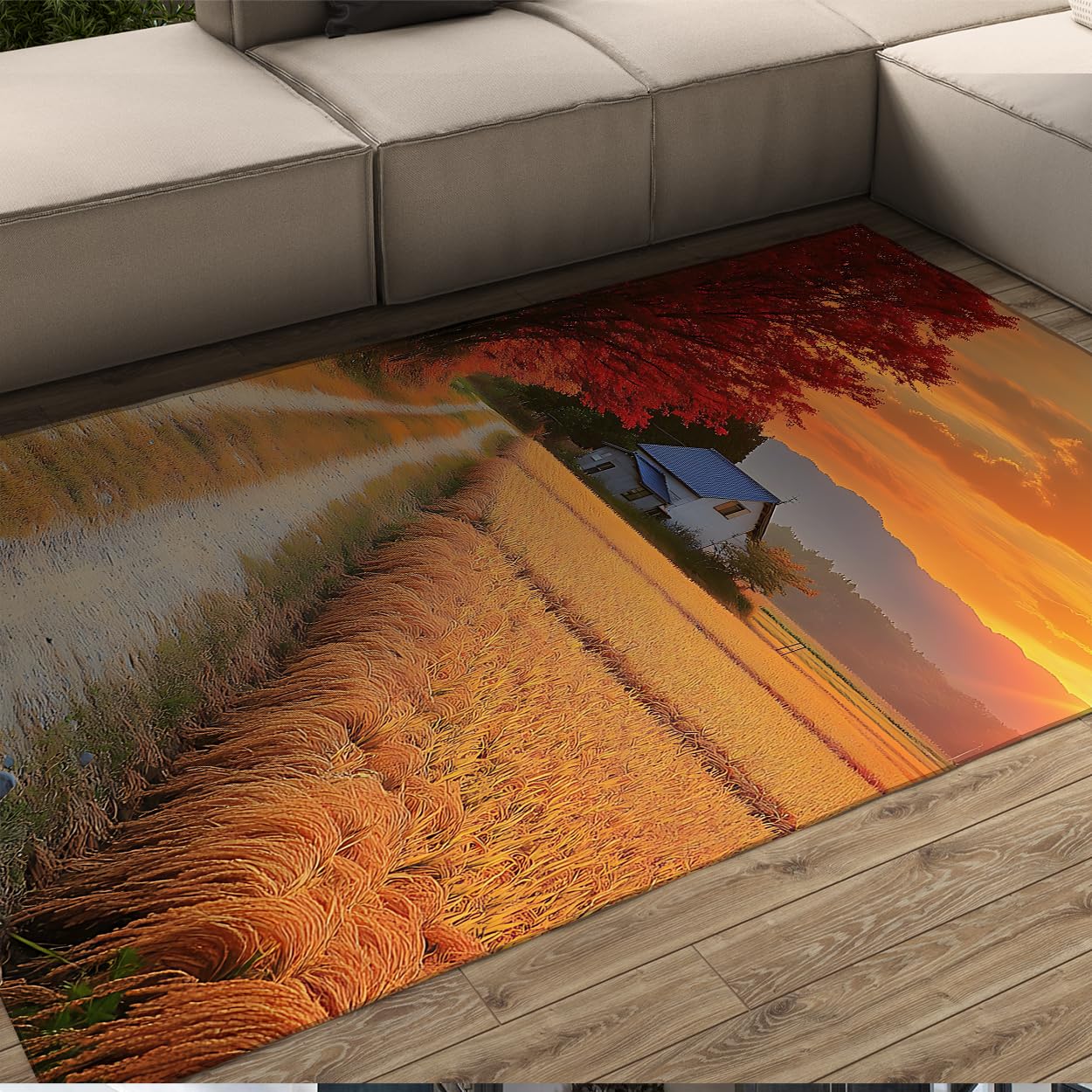 Tapis de sol salon anti-froid grand format coucher de soleil