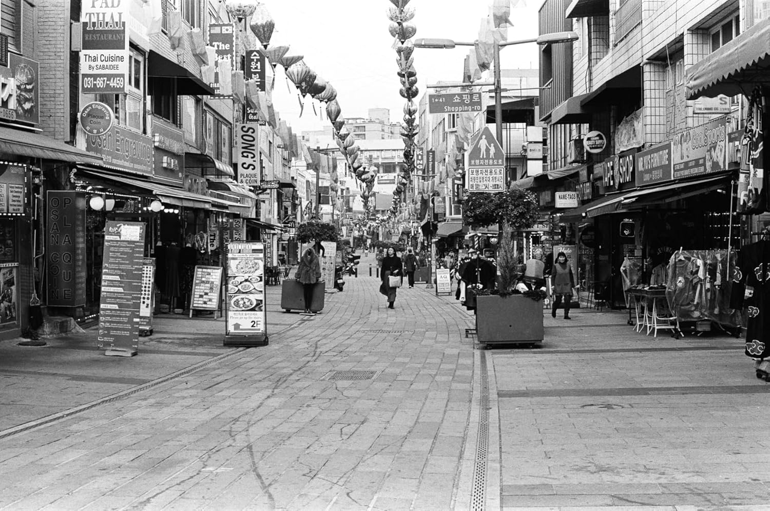 Fine Grain Nuance — Pincary ISO100 35 mm Film for Daylight Landscapes, Black and White 35mm, Scan Friendly Enlargements, Tripod Friendly Detail, DX 24x36mm, 36EXP - 6Pack