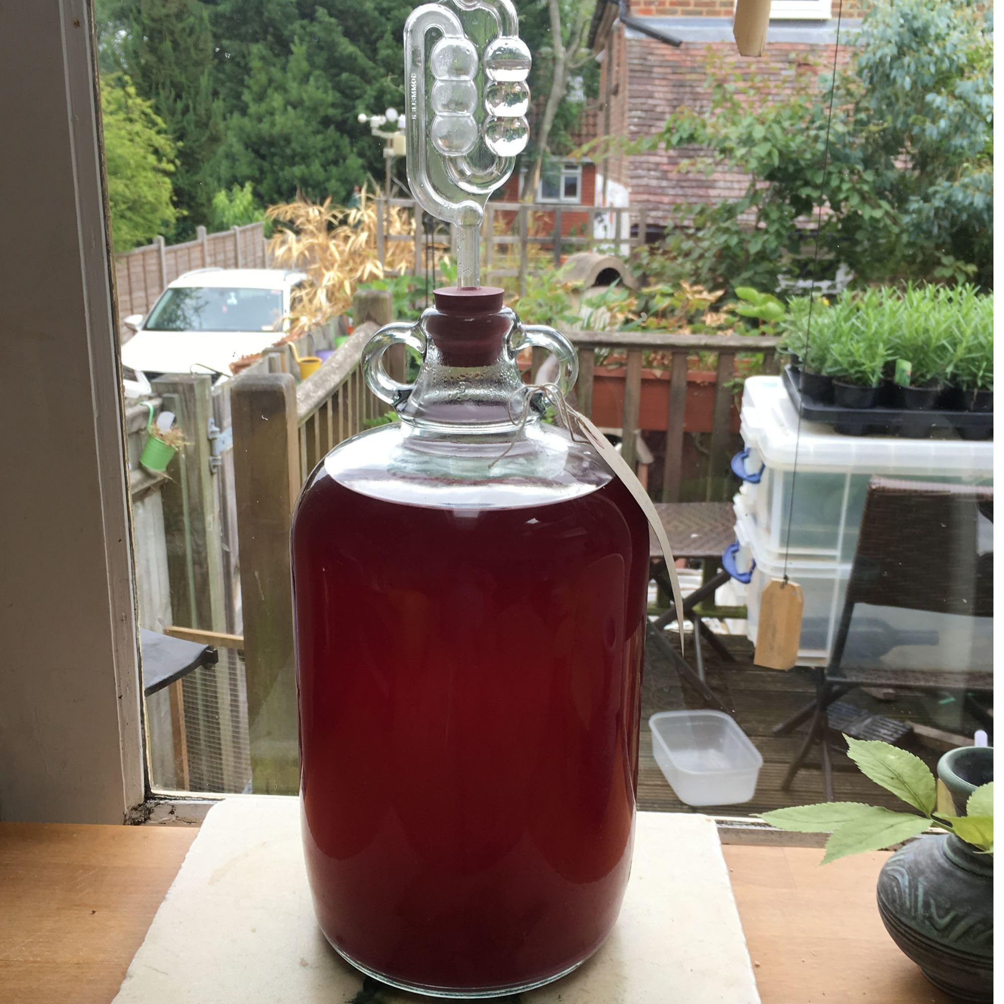 Yeast Nutrient - Recipiente resellable de 100 g