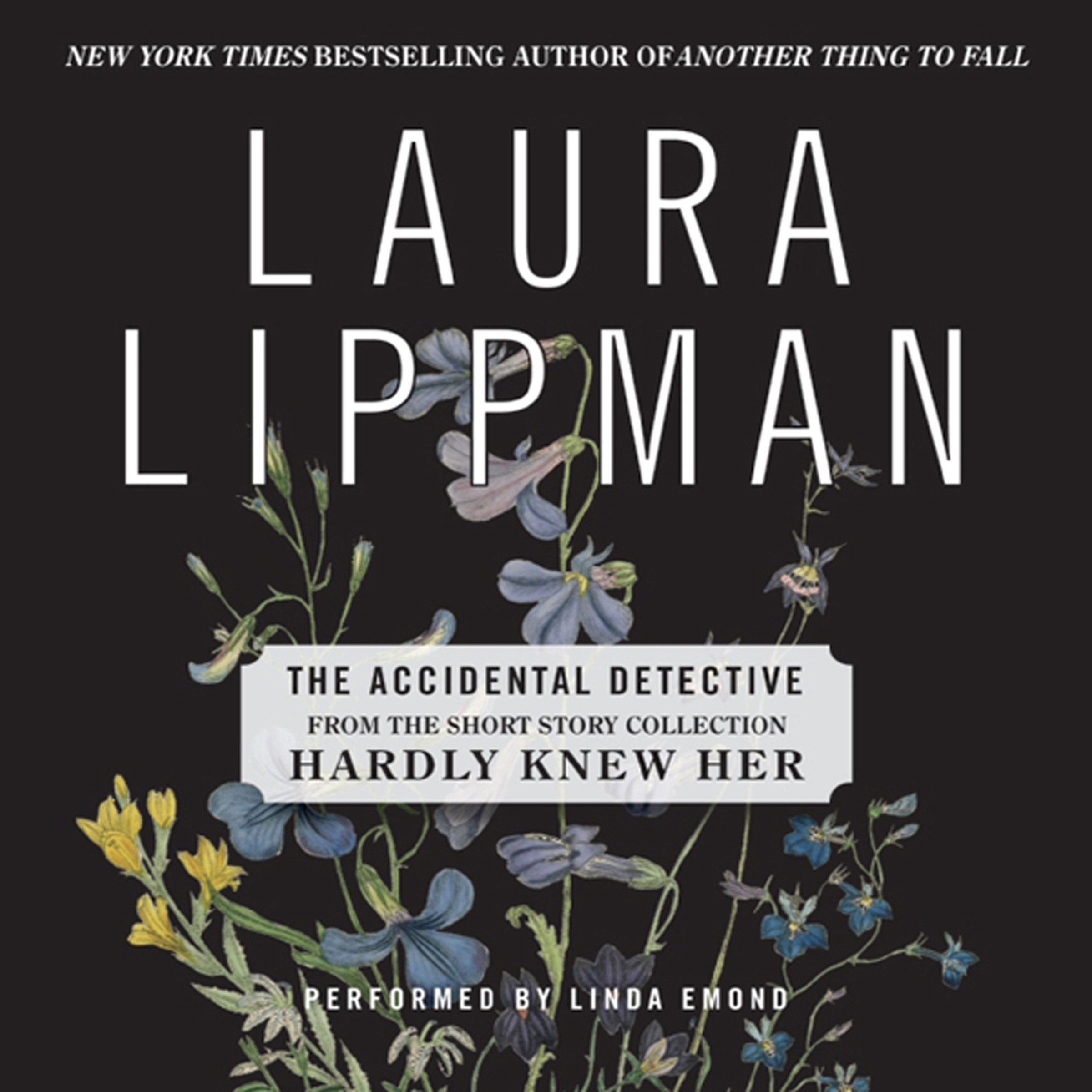 Cover art for The Accidental Detective