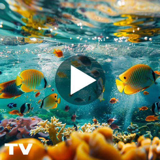 Aquarium Screensaver – Relaxing Fish TV Background (No Ads)
