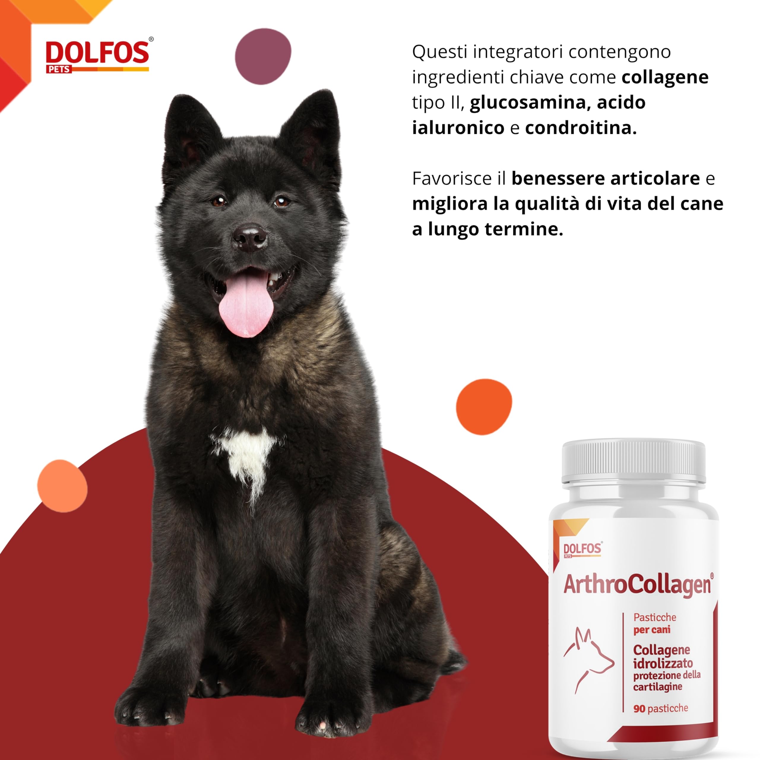 Dolfos ArthroCollagen Integratore Articolazioni Cane, 90 Cpr Masticabili, Joint Care, Integratori per Cani con Collagene, Omega 3, Vitamine, Antinfiammatorio Articolazioni Cani