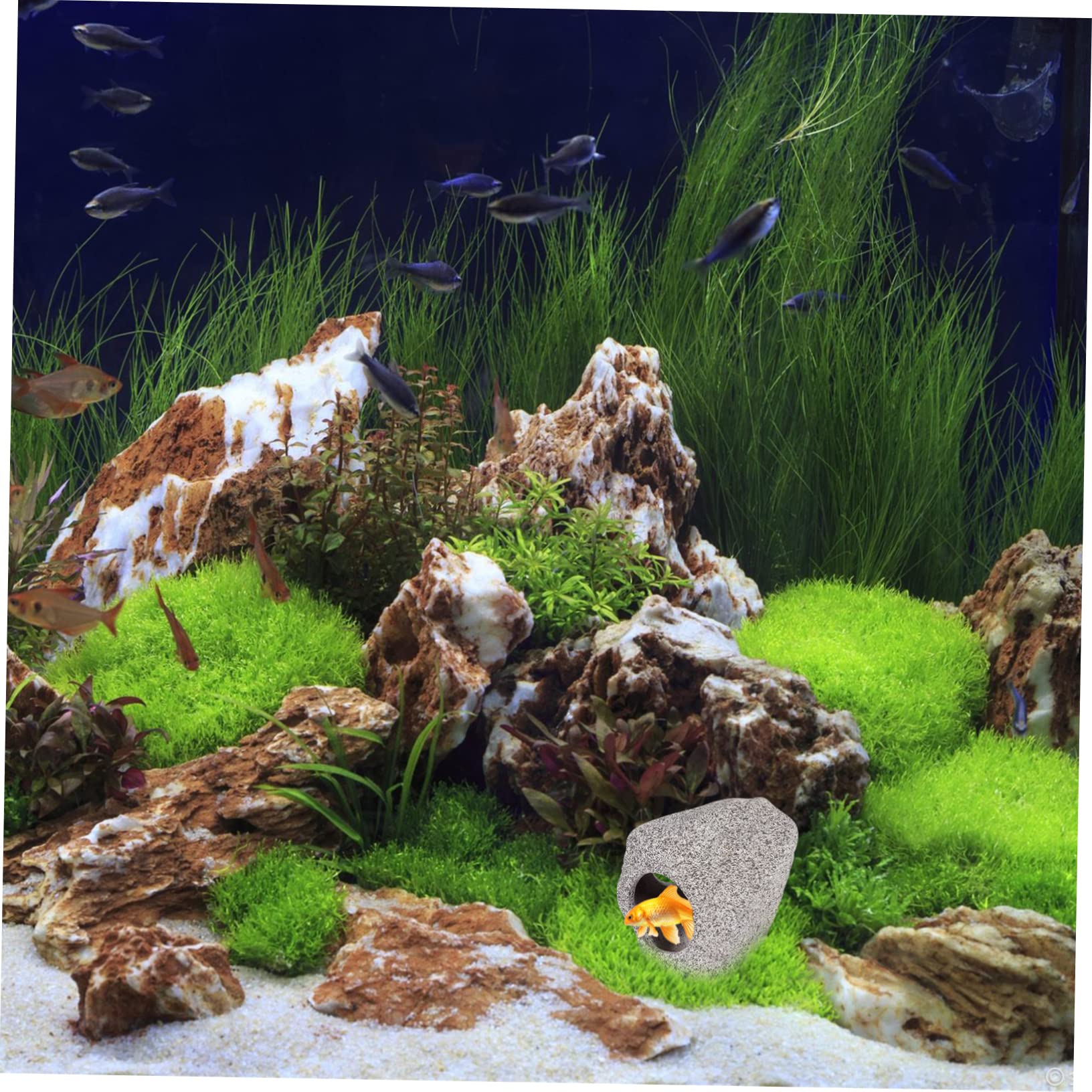 Sosoport 3stücke Versteck Für Fische Keramische Hiding Cave Für Aquarien Dekoratives Ornament Für Zierfische Und Langlebig Für Zucht Spiel Und