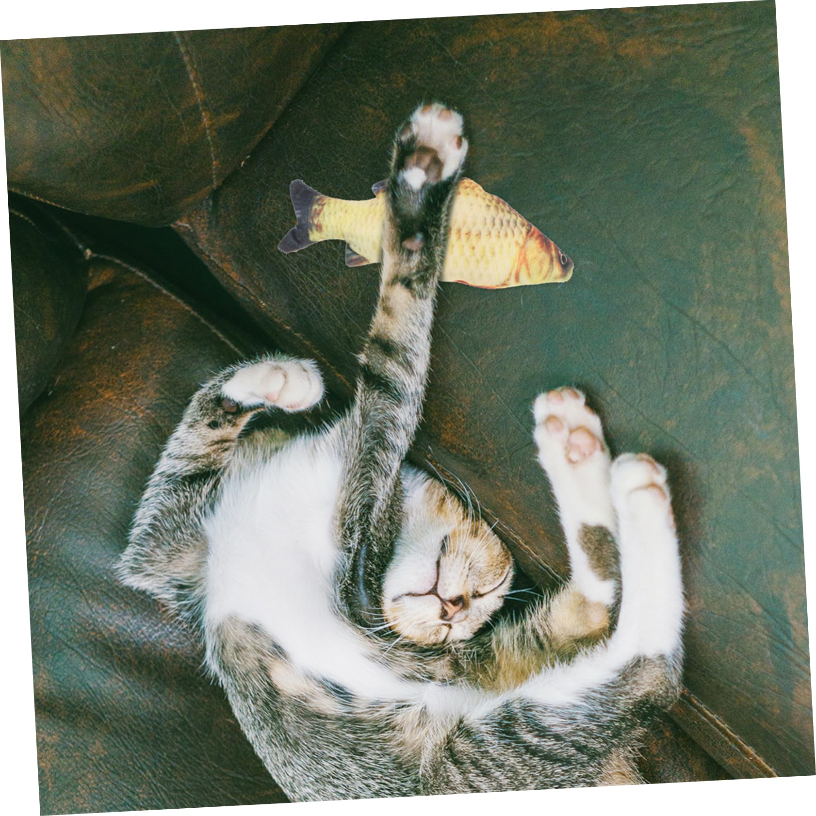 VANZACK 32stücke Teiliges Katzen-spielzeugset Mit Lustigen Kunstmäusen Und Interaktiven Spielsachen Fördert Die Und Beschäftigung Ihrer Katze Für Spiel Und Training
