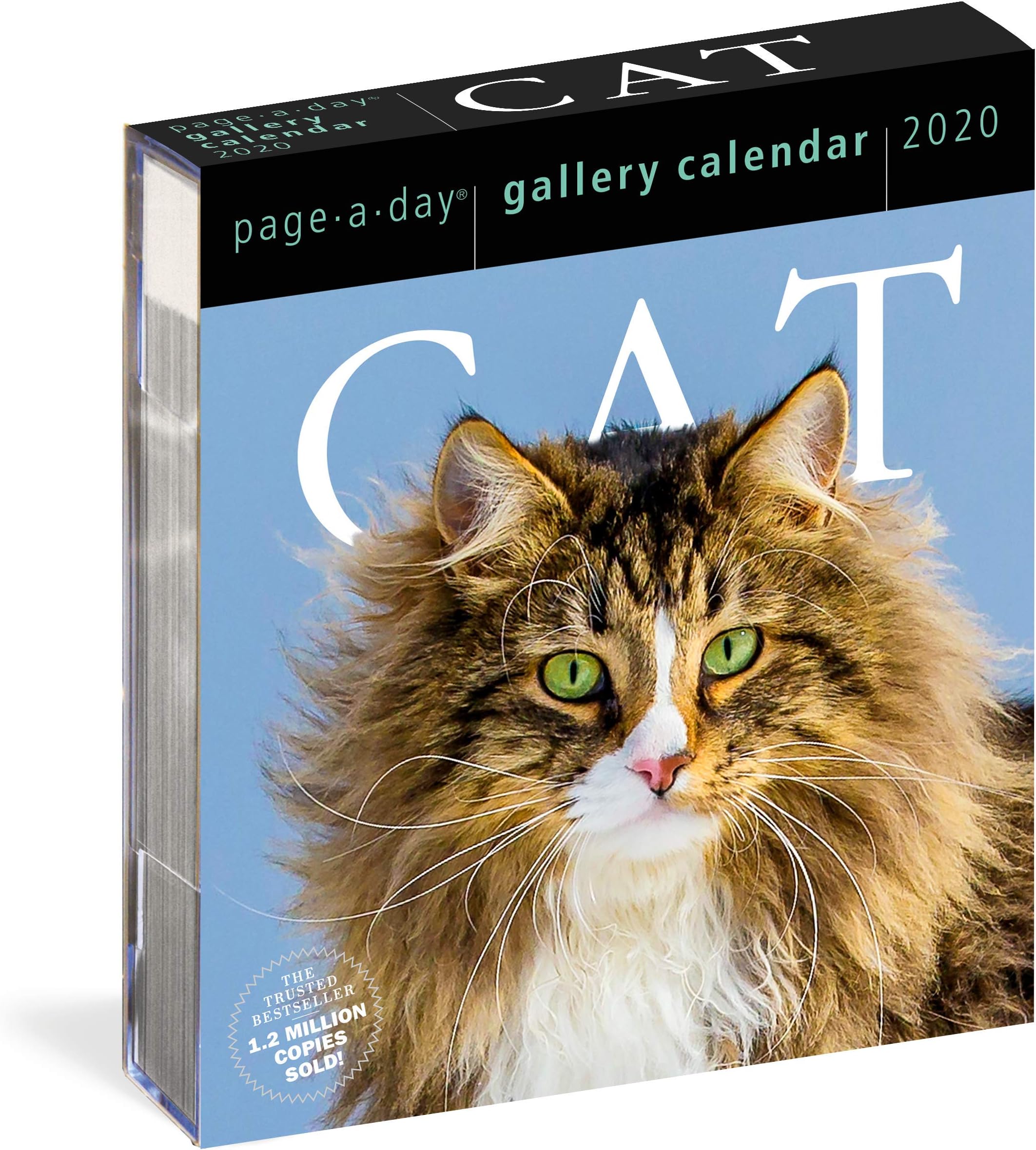 Cat Page-A-Day Gallery Calendar 2020 Calendar – Day to Day Calendar, July 23, 2019