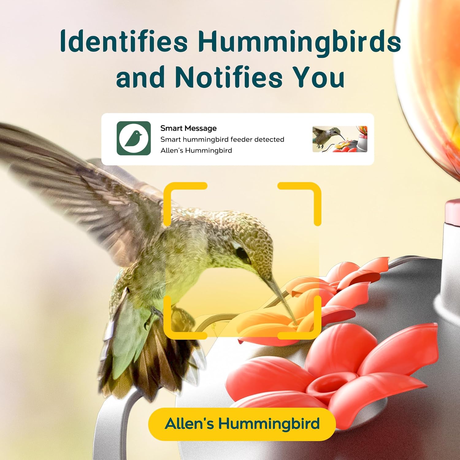 Glass Smart Hummingbird Feeder with 2K HD Camera Solar Powered - AI Identify & Water Detection, Instant Notification, Leakproof & Ant Moat, Work with Alexa & Google Assistant