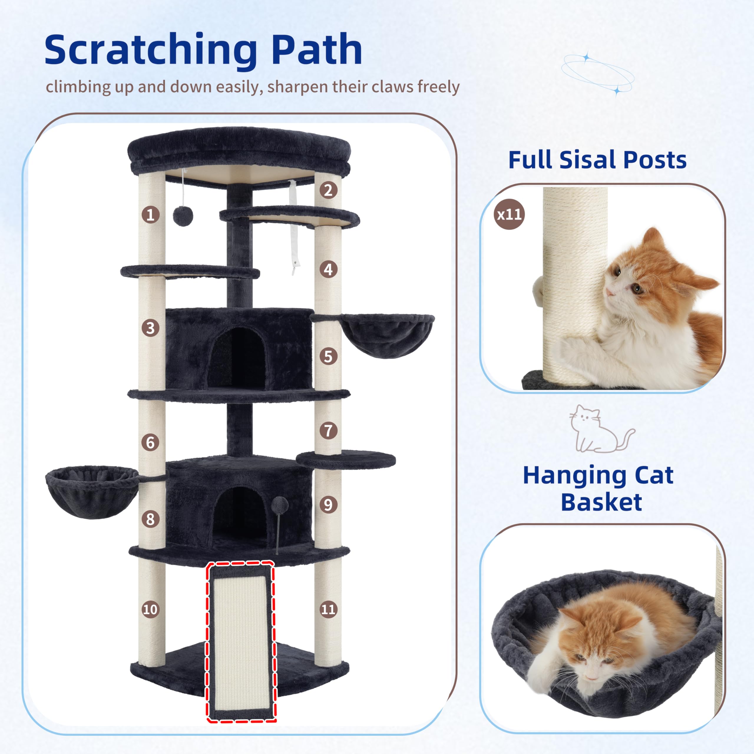 View 5