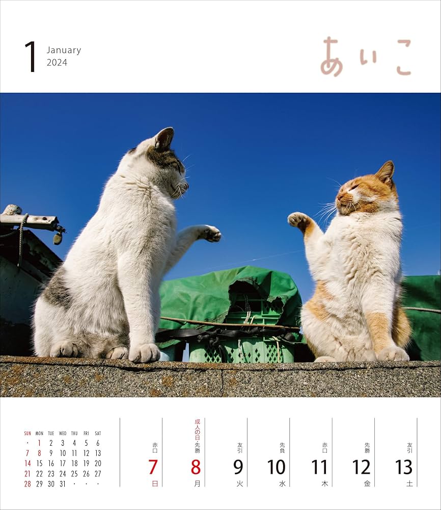 とい猫ページ 青菁社】気まま猫カレンダー2026 – 青幻舎オンラインショップ