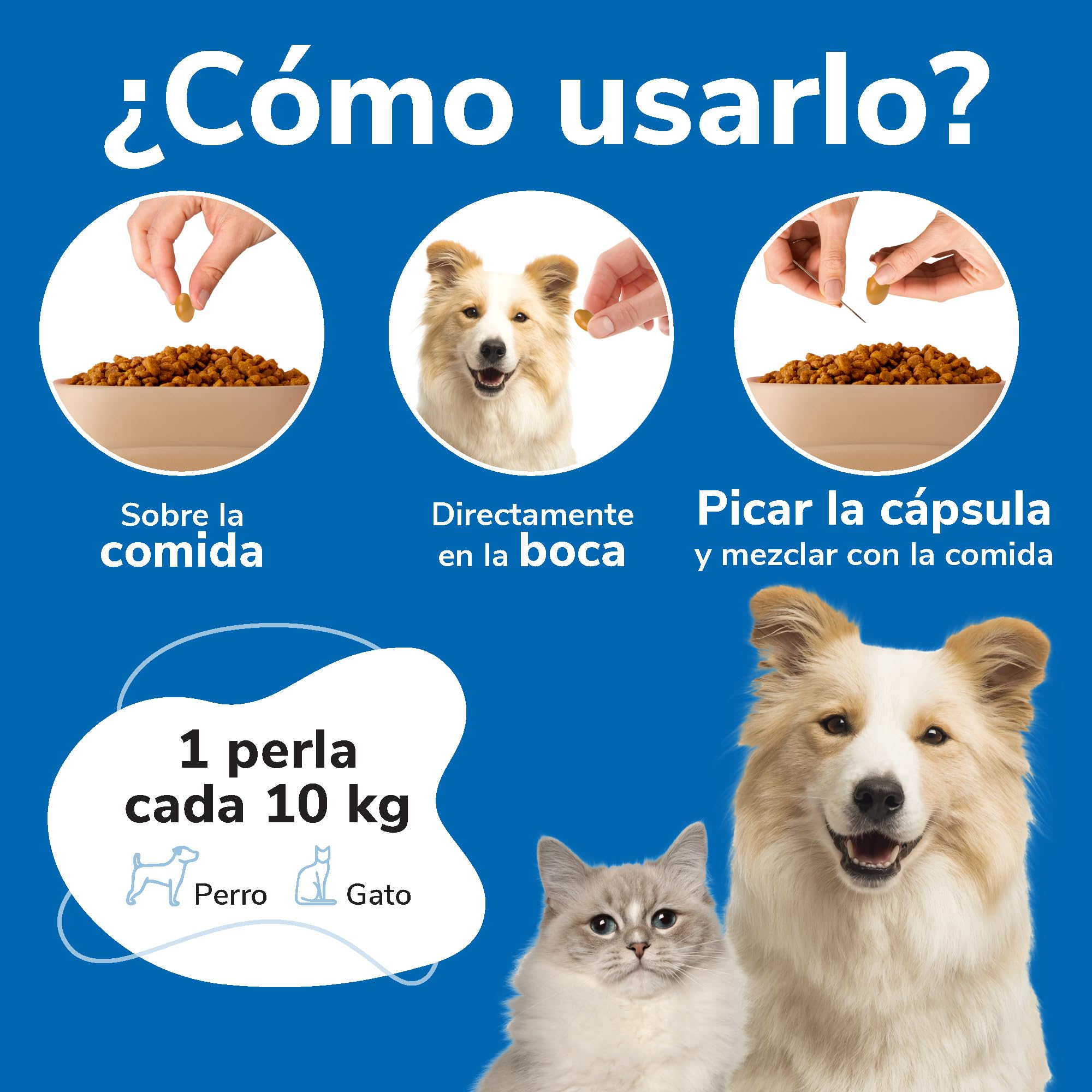 Omnicutis Hifarmax - Suplemento con Vitaminas, Zinc y Omega 3 para Perros y Gatos | Anticaída de Pelo, Alivio de Picor, Cuidado de la Piel y Pelo Brillante | Vitaminas para Perros y Gatos | 150 Perlas